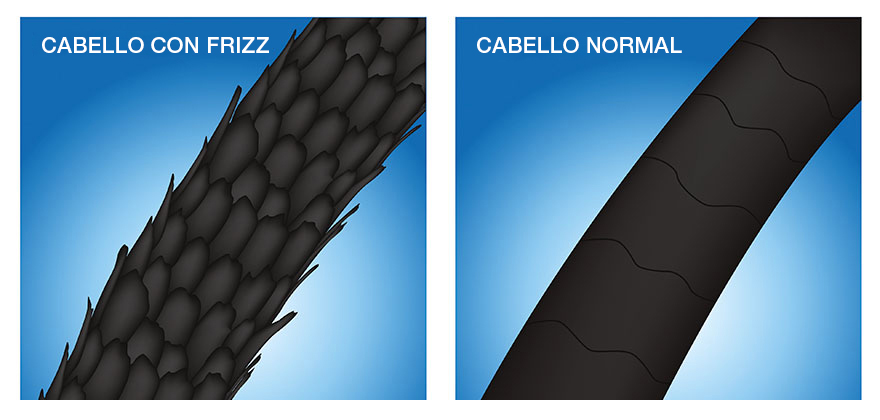 Imagen de la izquierda muestra un folículo capilar con frizz ampliado, imagen de la derecha muestra un folículo capilar sano ampliado.